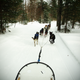 Illustration for article titled Where the Dogs Are: A Dogsledding Photo Diary